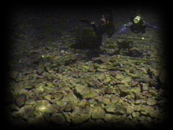 Bonne Terre Mine 99 35 divers